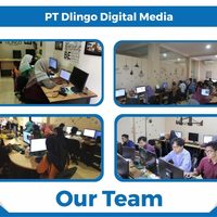 Dlingo Digital  Media